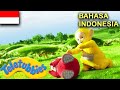★Teletubbies Bahasa Indonesia★ Berguling ★ Full Episode - HD | Kartun Lucu