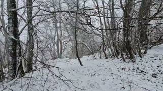 [2024-03-11] Геленджик. Горы. Идёт снег.