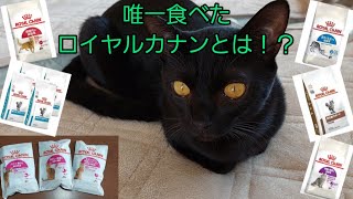 ドライフード嫌いな猫が選んだ、唯一のロイヤルカナンはどれ⁉️