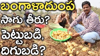 బంగాళాదుంప సాగు తీరు, ఖర్చు & దిగుబడి? | Potato Farming | రైతు బడి