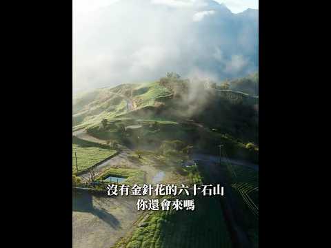 #六十石山 #台版小瑞士 #花蓮 #富里 #台灣之美