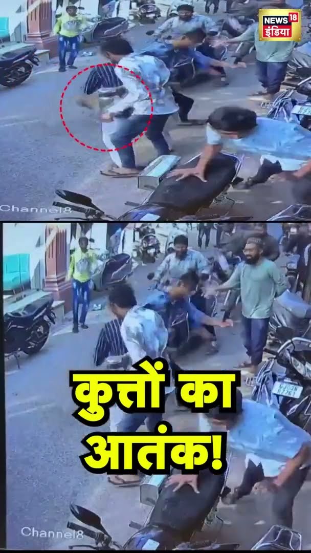 राजकोट के गोंडल शहर में कुत्तों ने फिर मचाया आतंक | Alwar Dog Attack