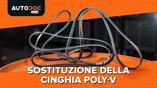 Come cambiare Cinghia Poly-V Fiat Grande Punto 199 - video tutorial