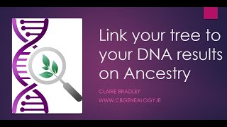 Link your Ancestry DNA results to a tree