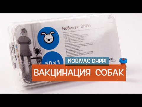 Вопрос: Что за вакцина DHPPi От чего защищает?