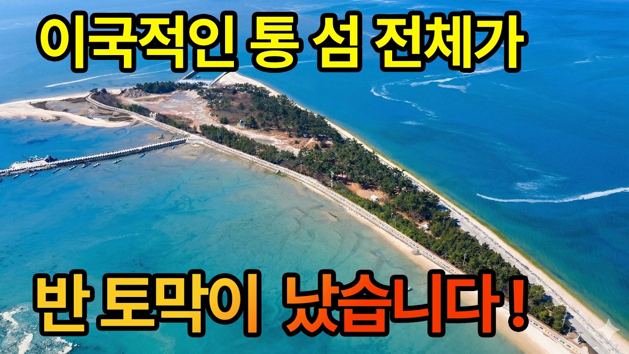 이국적인 통 섬 전체가 반 토막이 났습니다!