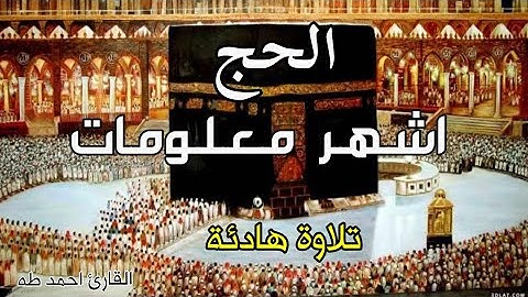 الحج أشهر معلومات |تلاوة هادئه |من سورة البقرة