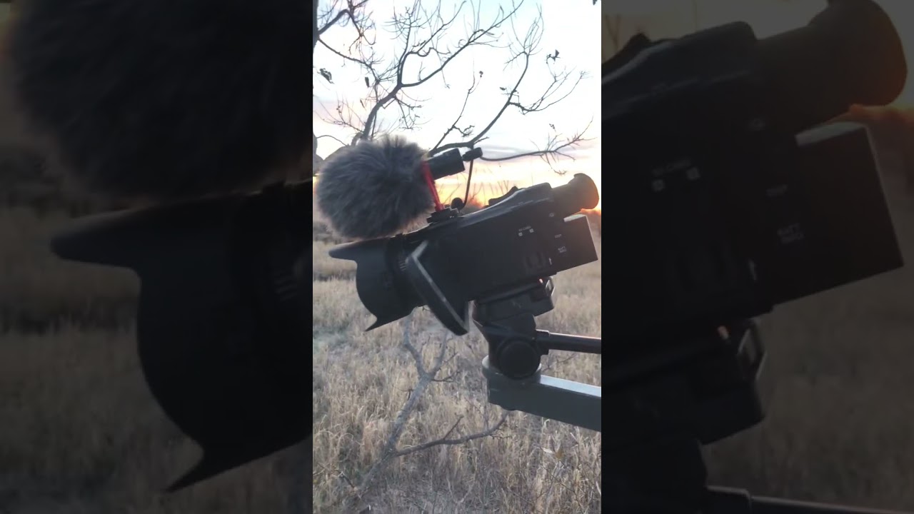 Awesome Sunrise From The Tree Stand! Deer Hunting 2022