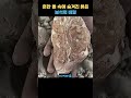 평범한 돌이었는데
