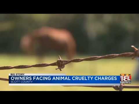 Owners Facing Animal Cruelty Charges - YouTube