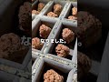 食べちゃダメ!1000万円のクルミ