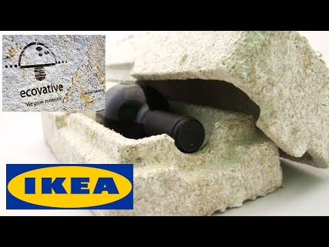 Video: Il Nuovo Packaging Biodegradabile A Base Di Funghi Ikea