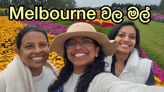 Flower Festival and Pole Dancing in Melbourne 