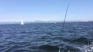 Mukilteo Crabbing and Fishing!