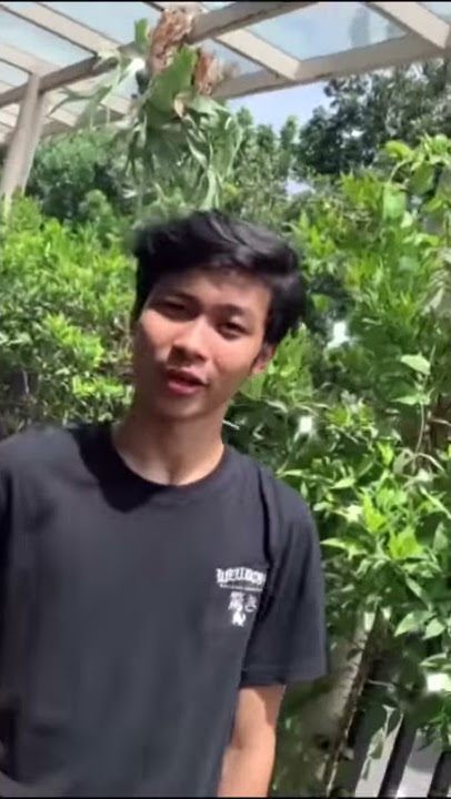 Mas candra Tiktok|| tiktok#02