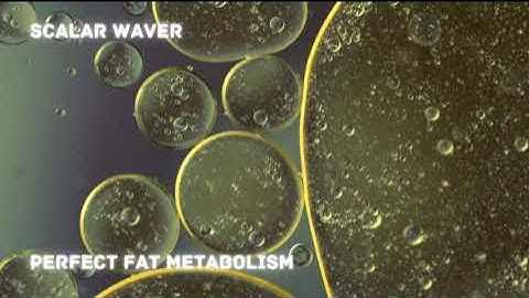 Perfect Fat Metabolism PREMIUM SUPERCHARGED ULTRA POWERFUL!!!(Energetically Programmed)