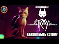 ПРИКЛЮЧЕНИЕ КОТА В МИРЕ ПОСЛЕ АПОКАЛИПСИСА ● STRAY -  ЛУЧШАЯ ИГРА ЛЕТА ● ПРОХОЖДЕНИЕ#1