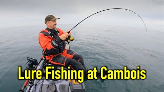 Fantastic Cod Session at Cambois  New Mark Unlocked!  Kayak Sea Fishing UK  Northumberland