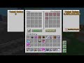My experience with one of the richest players in hypixel skyblock (ft. @phobiability6400 )