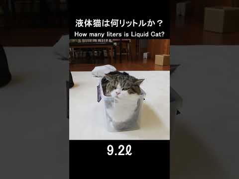 液体猫は何リットルか？ #Shorts