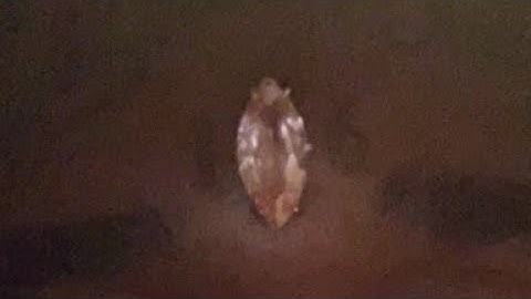 Lil Uzi Vert IG Live - 14.02.21 ("I