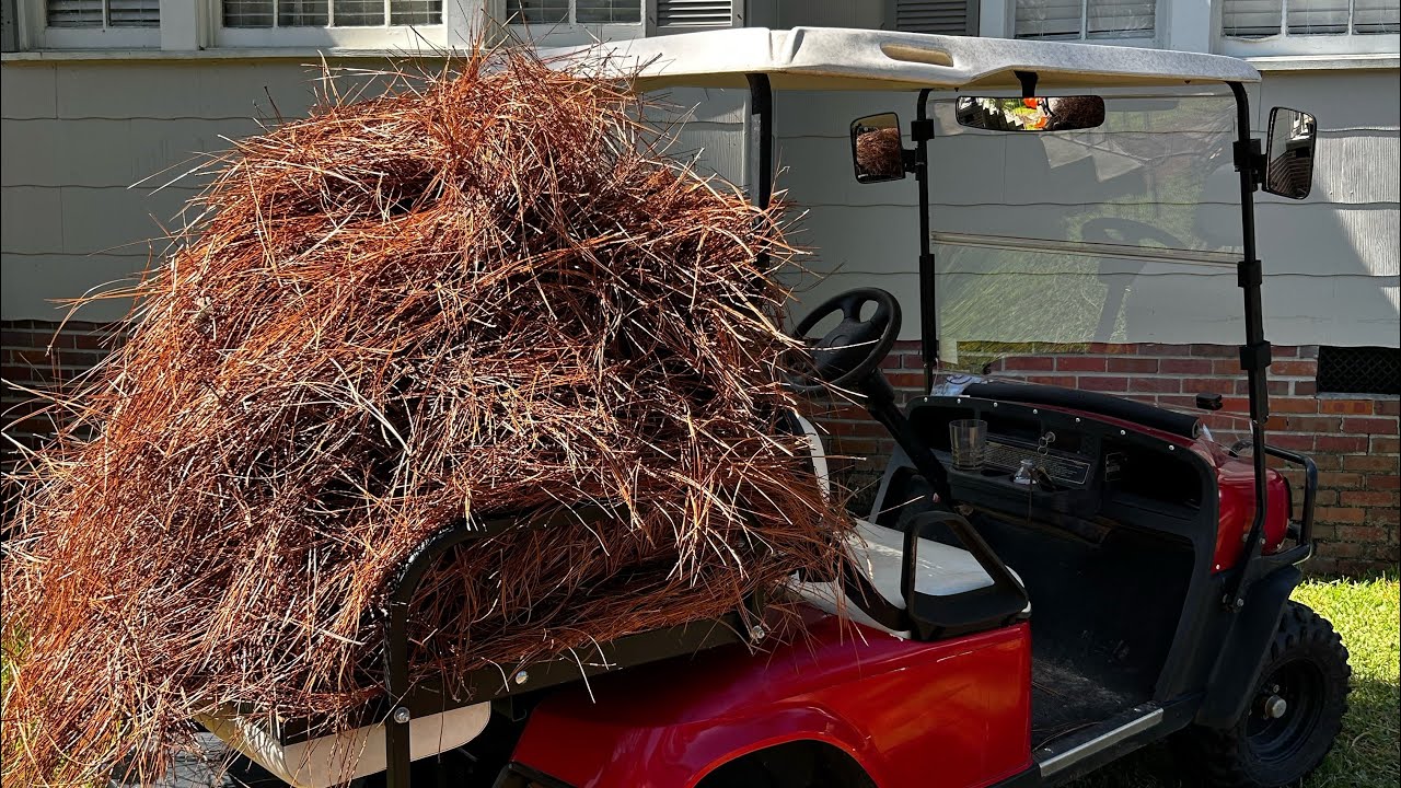 Заставляем детей работать