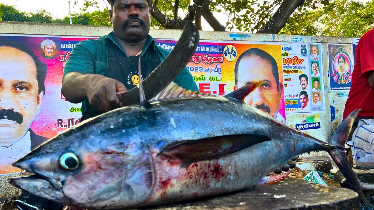 35KG BIG TUNA FISH CUTTING BY SPEED SELVAM HD VIDEO IN KASIMEDU