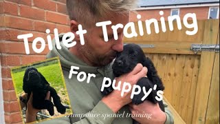 Potty training for your new puppy