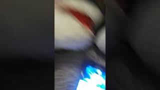 Iridessa