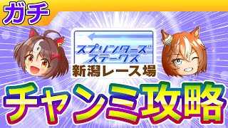 10月新潟短距離チャンミ攻略【ウマ娘/ミニ作画1.8h/編集18.3h】のサムネイル