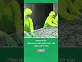 Trung Quốc tăng mua, xuất khẩu thủy sản vượt 4,6 tỷ USD #nongnghiepmientay