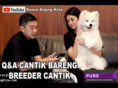 Tanya Cici Cantik Tentang Pemeliharaan Anjing Yang Cantik