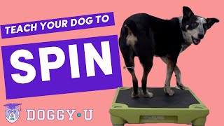 Spin: Quick and Easy Spin Trick For Your Dog
