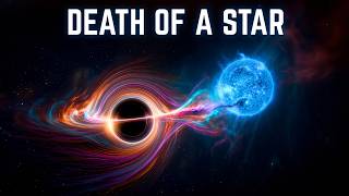 Celebrity What Really Happens When a Black Hole Tears a Star Apart Wealth