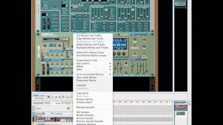 NN19 Video 2.mov