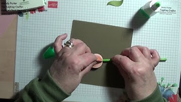 Timeless Tulips 3d tulips