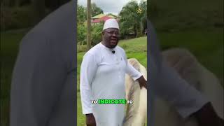 Liberia: A Reflection on Ambassador Kouyateh's Birthday Gift to President Joseph N. Boakai #shorts
