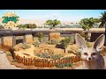 Fennec fox habitat  planet zoo speed build  limpopo ep1