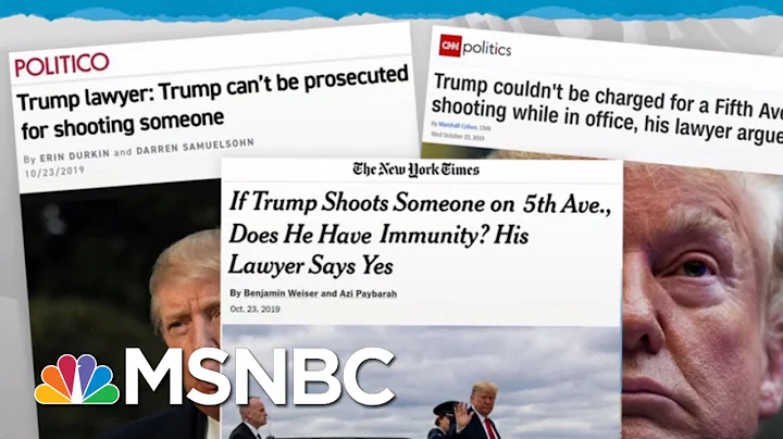 Trump Lawyers Argue His Crimes Can't Be Investigated, Prosecuted | Rachel Maddow | MSNBC