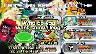 Play Animal Kaiser Evolution 8 II Strong Mode II Stag Beetle II Can Win the Fight 