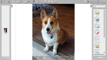 Document Management in OpenBoard