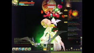 Perkisas's Bug