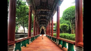 Garden 宝墨园 ...