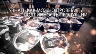 Технические Семинары Компании Мотордеталь