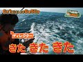 ブラマヨの関西１９８市町村に１週間住んでみた！【６月１日よる６時５８分〜放送】