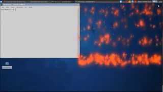 Setup Compiz in Xubuntu