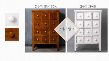 고무나무 약장