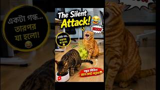 😹 The Silent Attack! 😂💨 #shorts #viral #comedy #cute #cat
