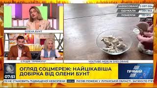 Онлайн тренди: огляд соцмереж з Оленою Бунт