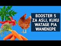 BOOSTER 5 ZA ASILI KUKU WATAGE SANA NA WANENEPE HARAKA 